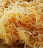 WE ONLY USE AUTHENTIC, ORGANIS SEA MOSS FROM THE CARIBBEAN ISLANDS